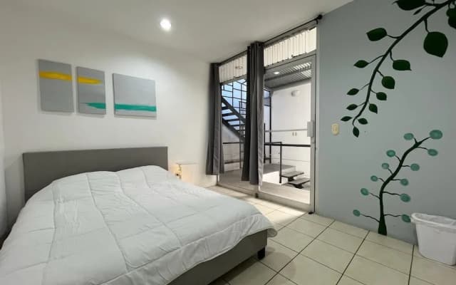 SJO Oasis Hostel