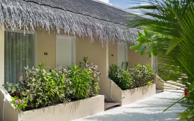 Tropical Village