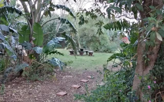 The Homestead - Simple Farm-Style Accommodation