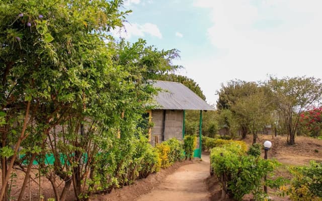 Mara Forest camp