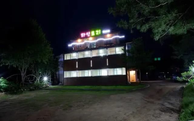 Gangchon pinetree