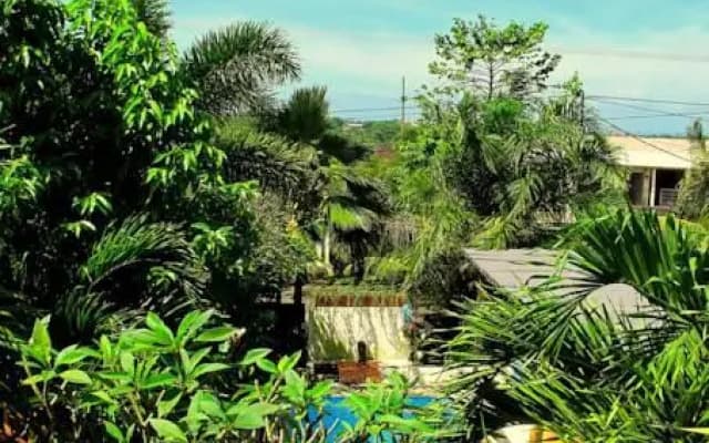 Mango Surf Lodge