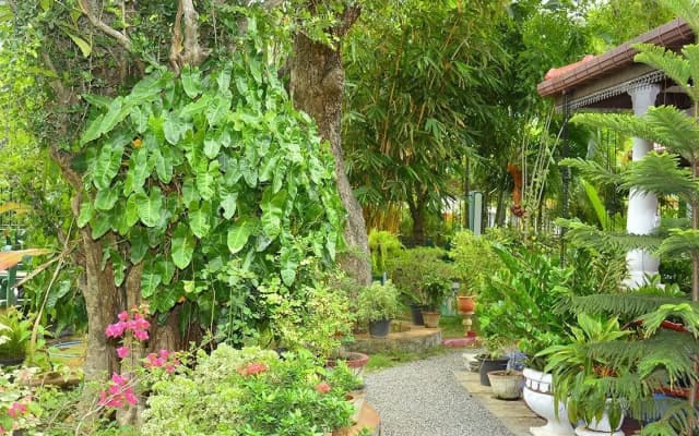 Living inn Polonnaruwa