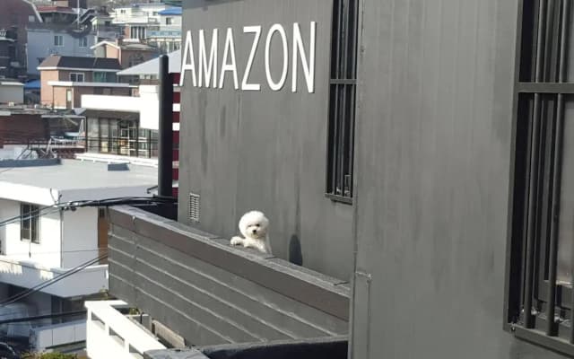 Amazon Guesthouse - Hostel