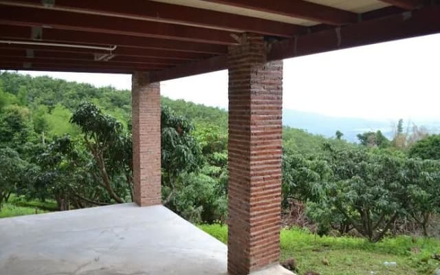 Phongtang garden Hill Homestay