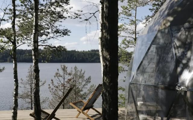 Вили Улей Карелия