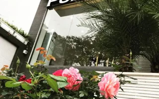 Punt Hotel