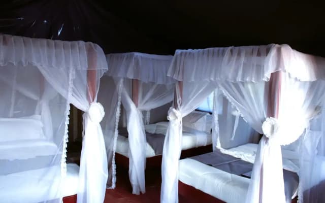 Endeem Mara Resort