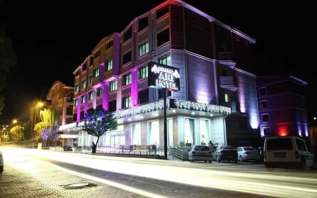 Grand Ari Hotel