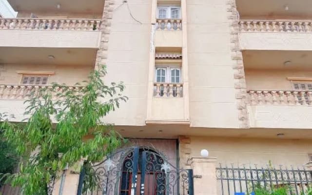 Lemon Tree & Home 2