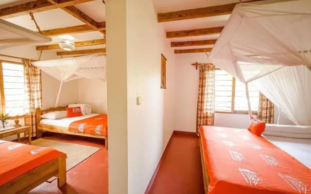 Meru View Lodge