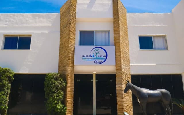 Marbello Ariaú Hotel