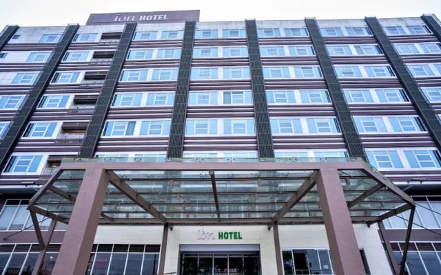 Ion Hotel