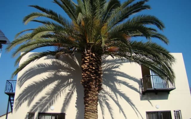 Louhallas Bed & Breakfast
