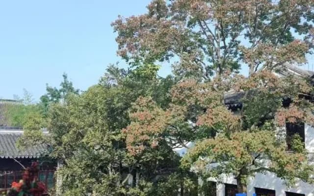 Xitang keyuan Homestay