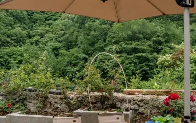 Floral Hotel·Shennongjia Wild Tea Homestay