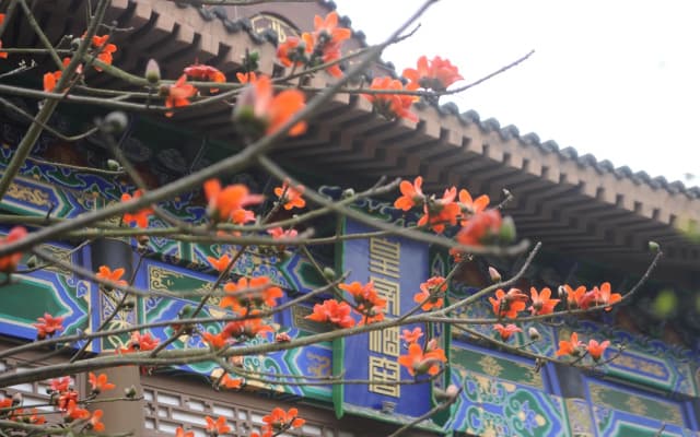 Eadry Royal Garden Hotel Haikou