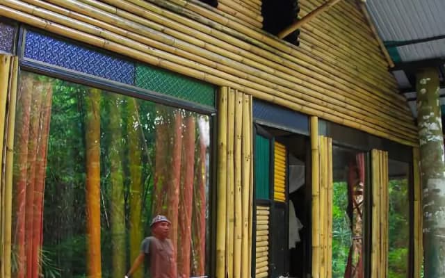 Khao Sok Tree House