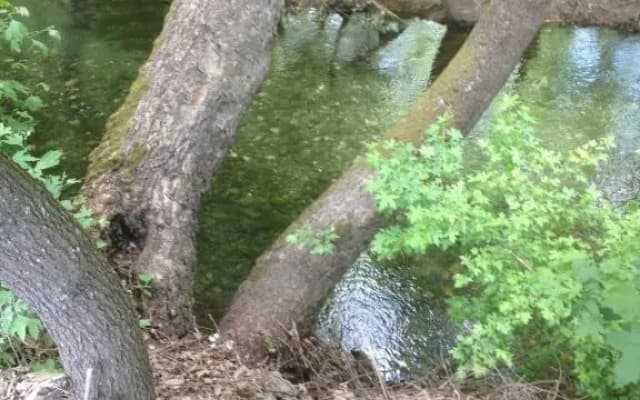 Ersalpark Ekin Dere Evleri