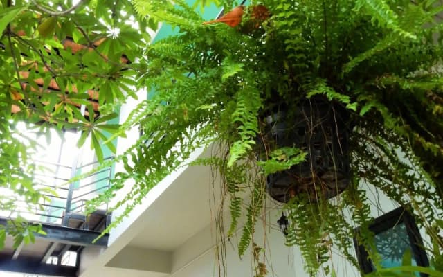 Wandee Bed and Breakfast - Hostel