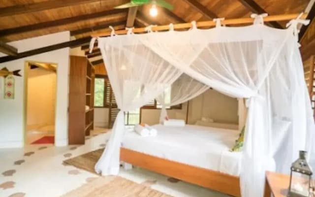 Casa do Arvoredo - casa com serviços