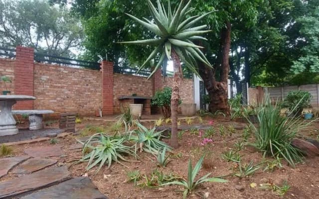 The Chameleon Stay @107
