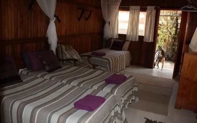 Offbeat Safaris