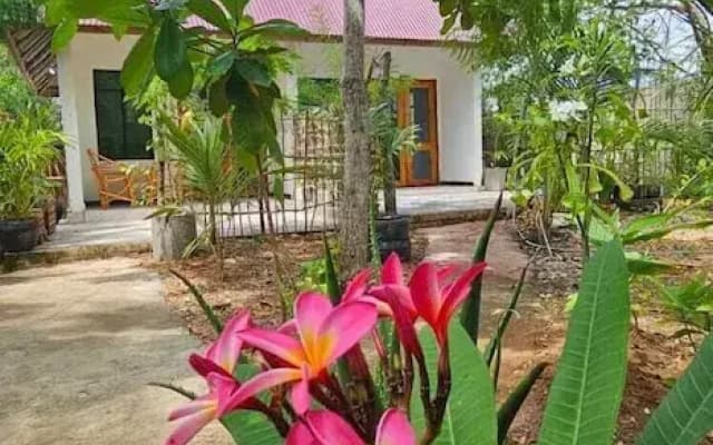 Z-Village Lodge