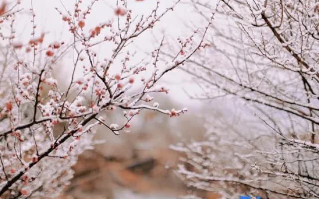 Qiandao Lake Wenyuan Lion City Vipusea Hotel