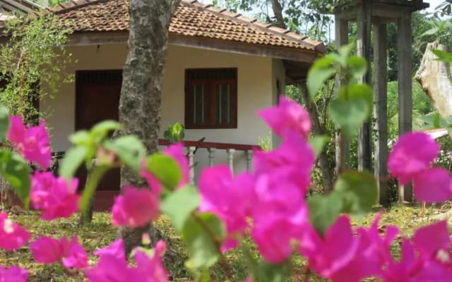 Calm Garden Cabanas