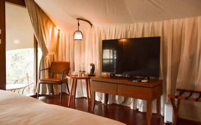 Oak Tree Glamping Resort