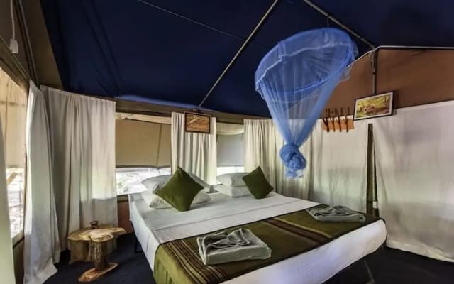 Camp Hasthi