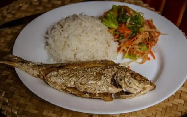 Le tropical Chez jeannette
