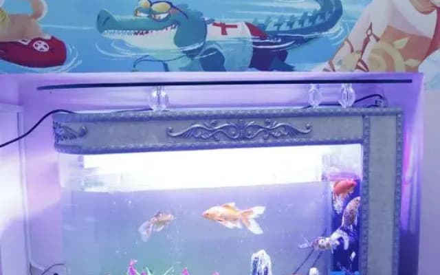 Xingyang Shangyue Express Homestay (Opalala Water Park)