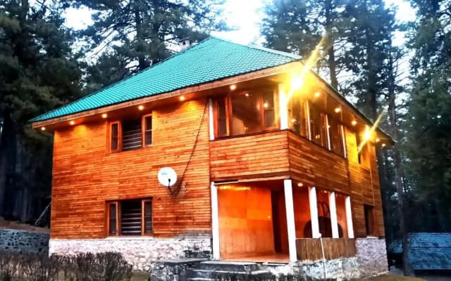 Pahalgam Woods
