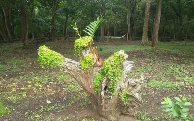 KTDC Periyar House Thekkady