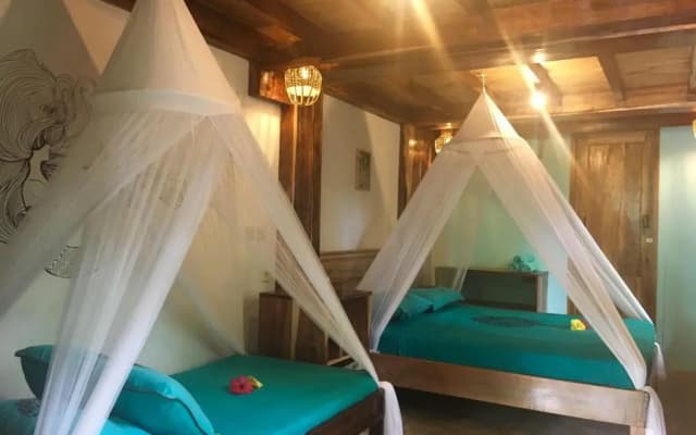 Villa Monyet Java
