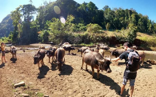 GJ TOUR and HOME STAY