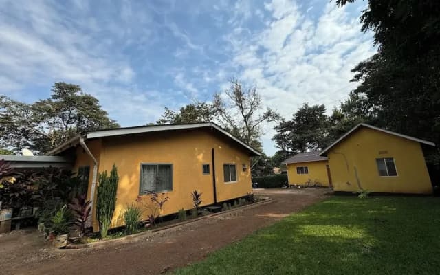 jacaranda homestay