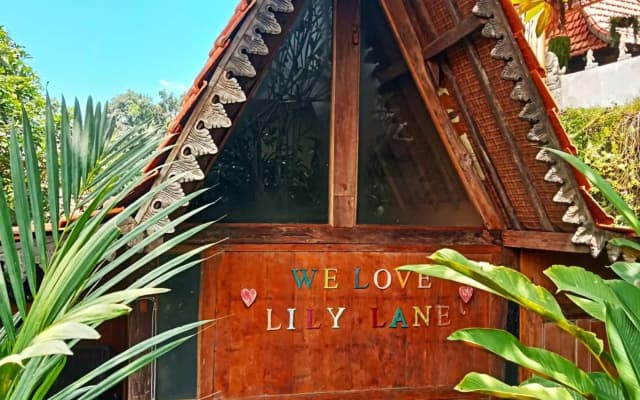 Lily Lane Villas