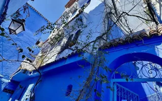 Casa Blue Star