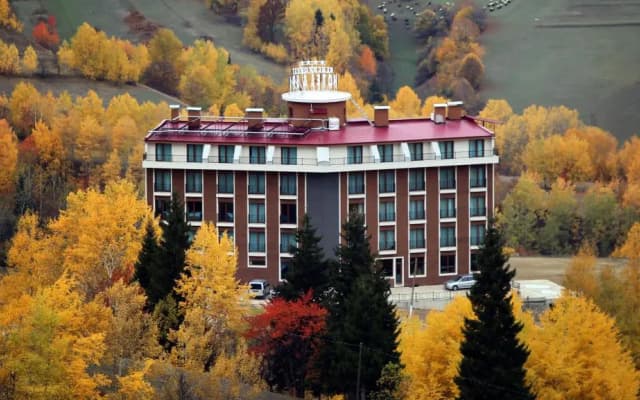 Black Forest Hotel
