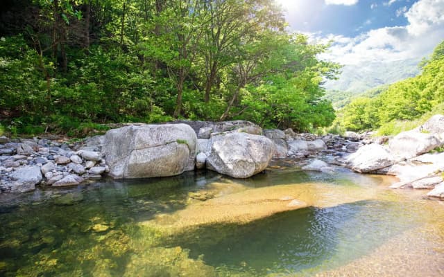 Gapyeong Cheotnooneh Pension