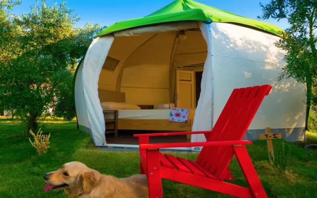 Chingene Glamping