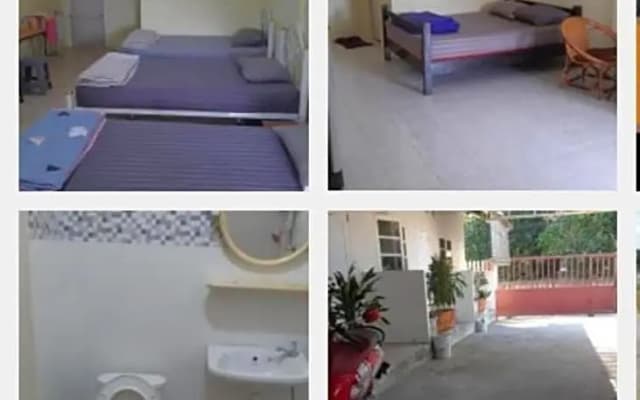 Pakchong hostel & wildlife tour
