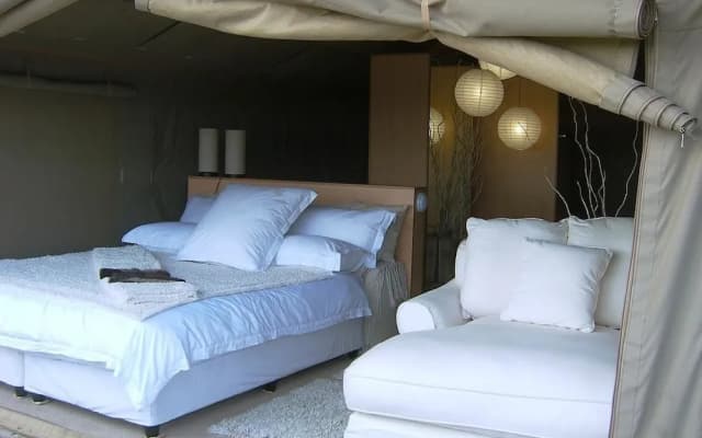 Thulani Game Lodge And Eco Estate