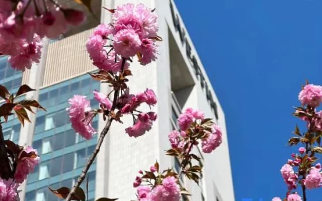 The Westin Yantai