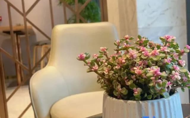 ZheTing Hotel (Jingzhou Jianghan Road No.1 People's Hospital)