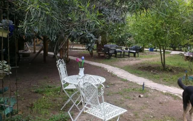 Portalimo Lodge Hotel - Adult Only +12