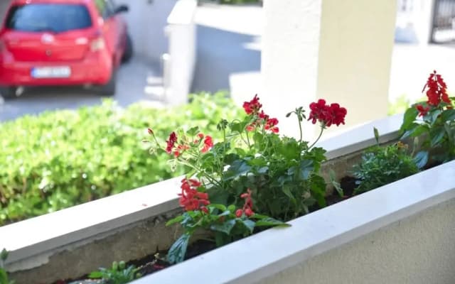 Biser Guest House